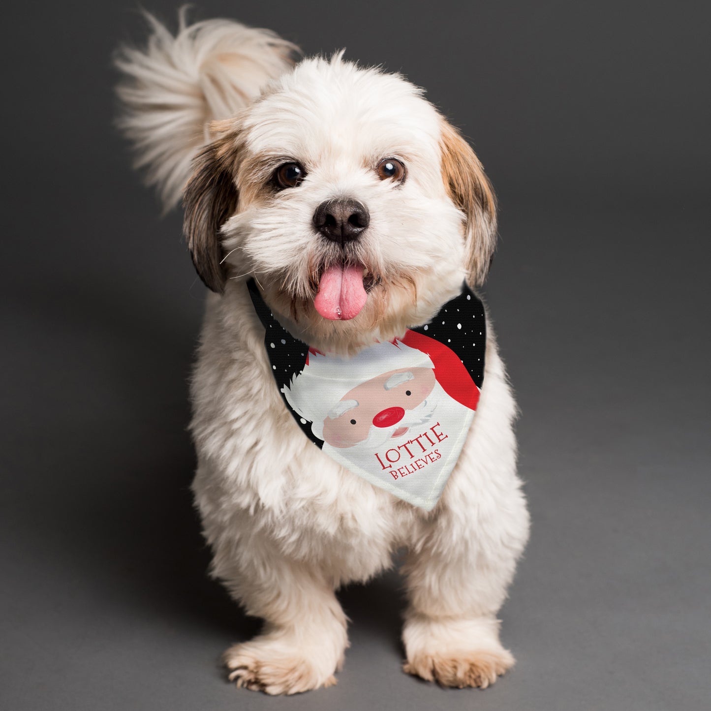 Santa dog bandana, personalised - Lilybet loves