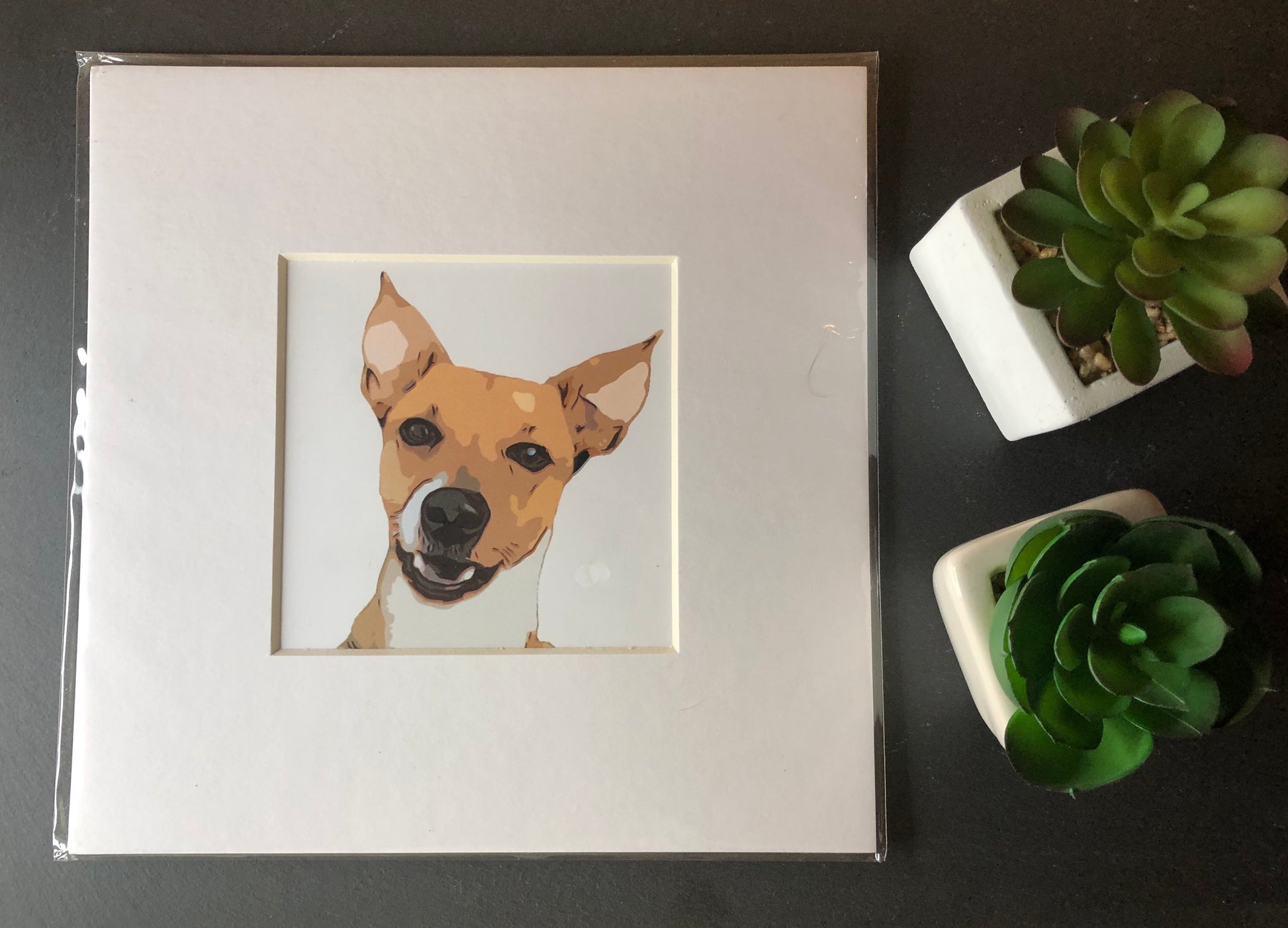 Funky pets! Your pet is a piece of art! - Lilybet loves